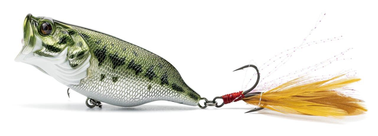 ｜【なんと１ヶ月無料】バス釣り特化型サービス『ルアマガプライム』がフルリニューアル！