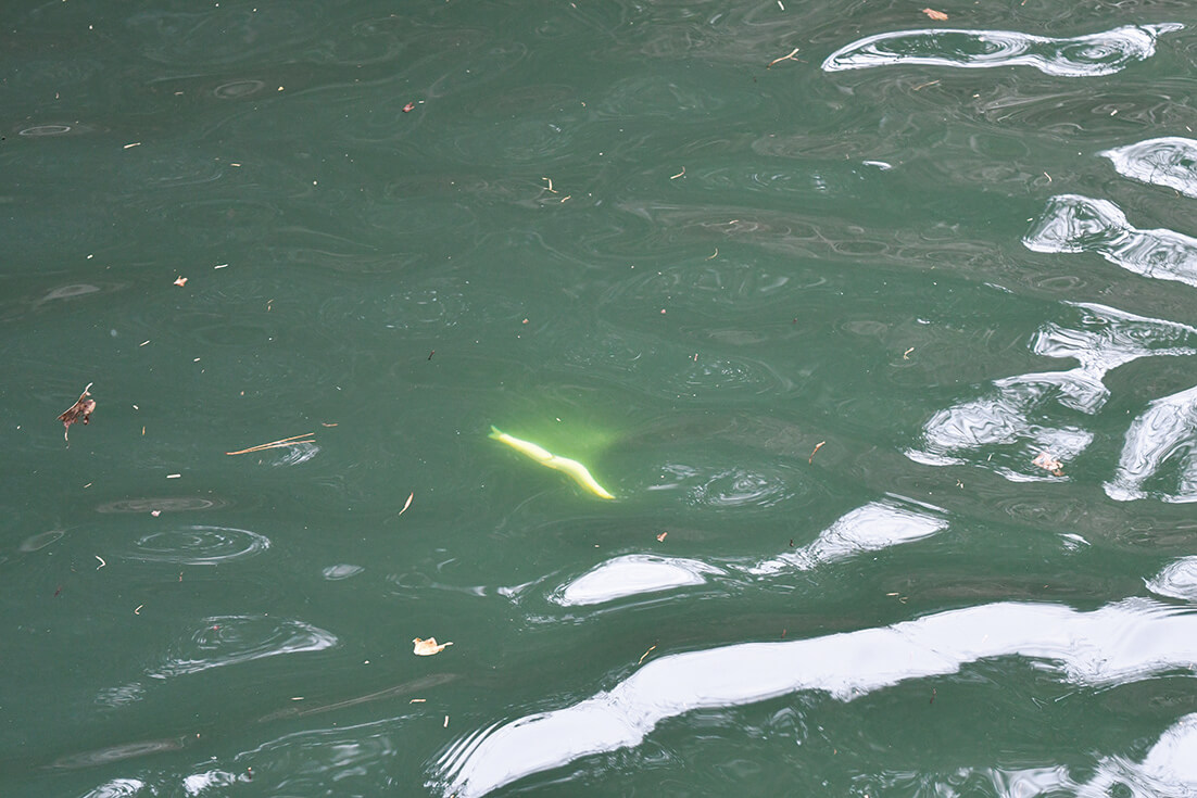 ｜菊元俊文の技術、こだわり、信念。そして「魂」