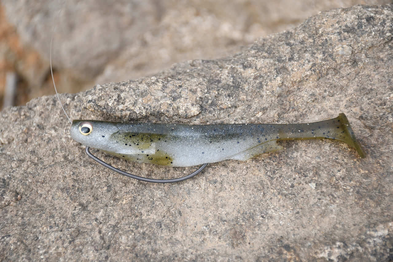 ｜オカッパリだから釣れる「でかバス」は確実に存在する! 「真冬に浅場を狙うetc…」岸釣り最新理論