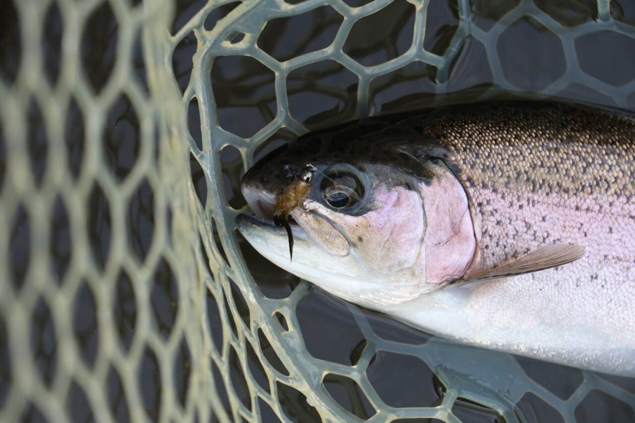 ｜「使えば釣れる魔法のようなルアーではありません」フェザージグを本気で使い込むための教科書。