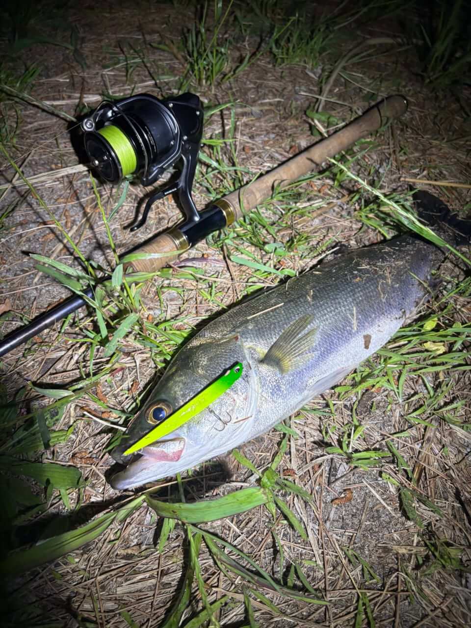 ｜「こんなにメリットがあるって知ってた？」僕がシーバスでレバーブレーキリールを使う理由。