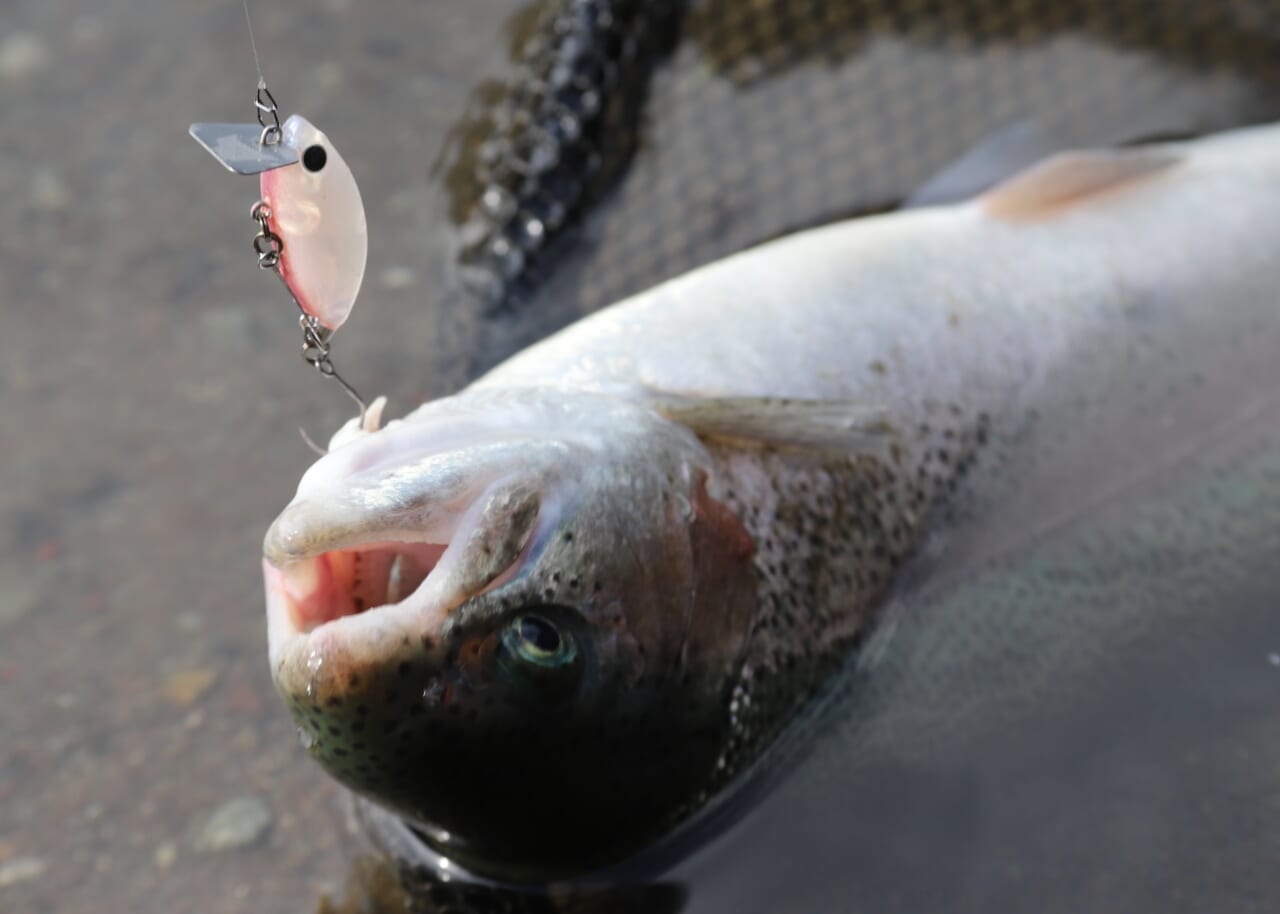 ｜釣りの楽しさと釣果を開発の両輪に！森田健太郎とリトリークスの挑戦【エリアトラウト】