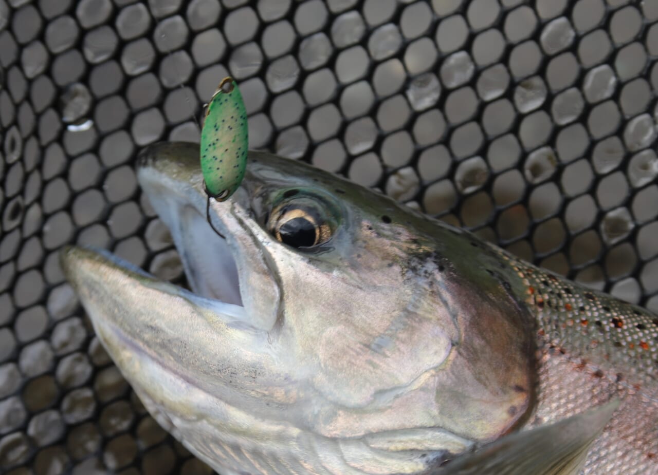 ｜釣りの楽しさと釣果を開発の両輪に！森田健太郎とリトリークスの挑戦【エリアトラウト】