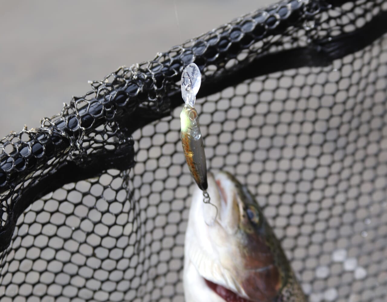｜釣りの楽しさと釣果を開発の両輪に！森田健太郎とリトリークスの挑戦【エリアトラウト】