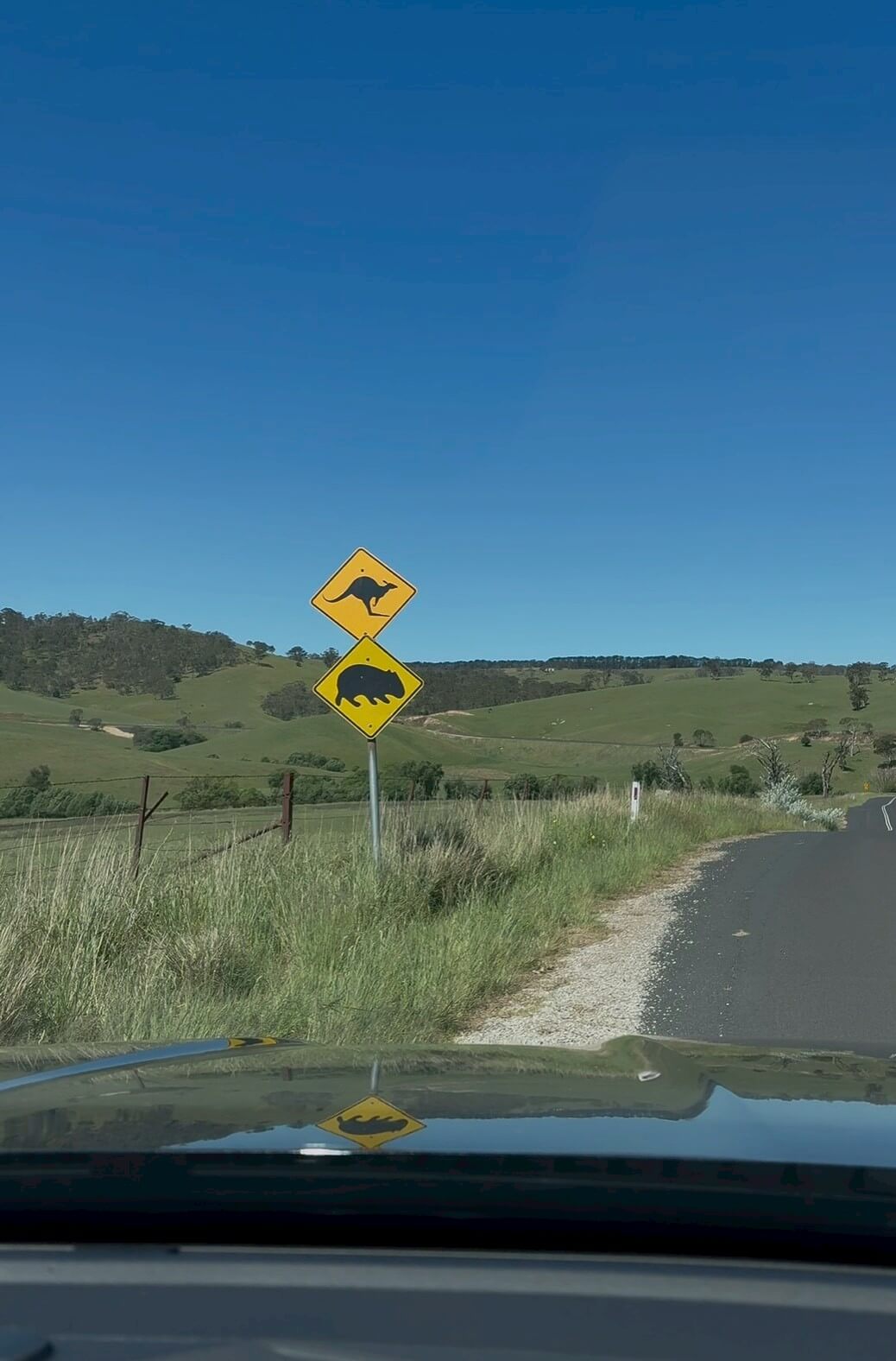 ｜「この魚はオーストラリアにしかいないヤツ！」総距離4200キロを渡る18日間のロードトリップを振り返る。