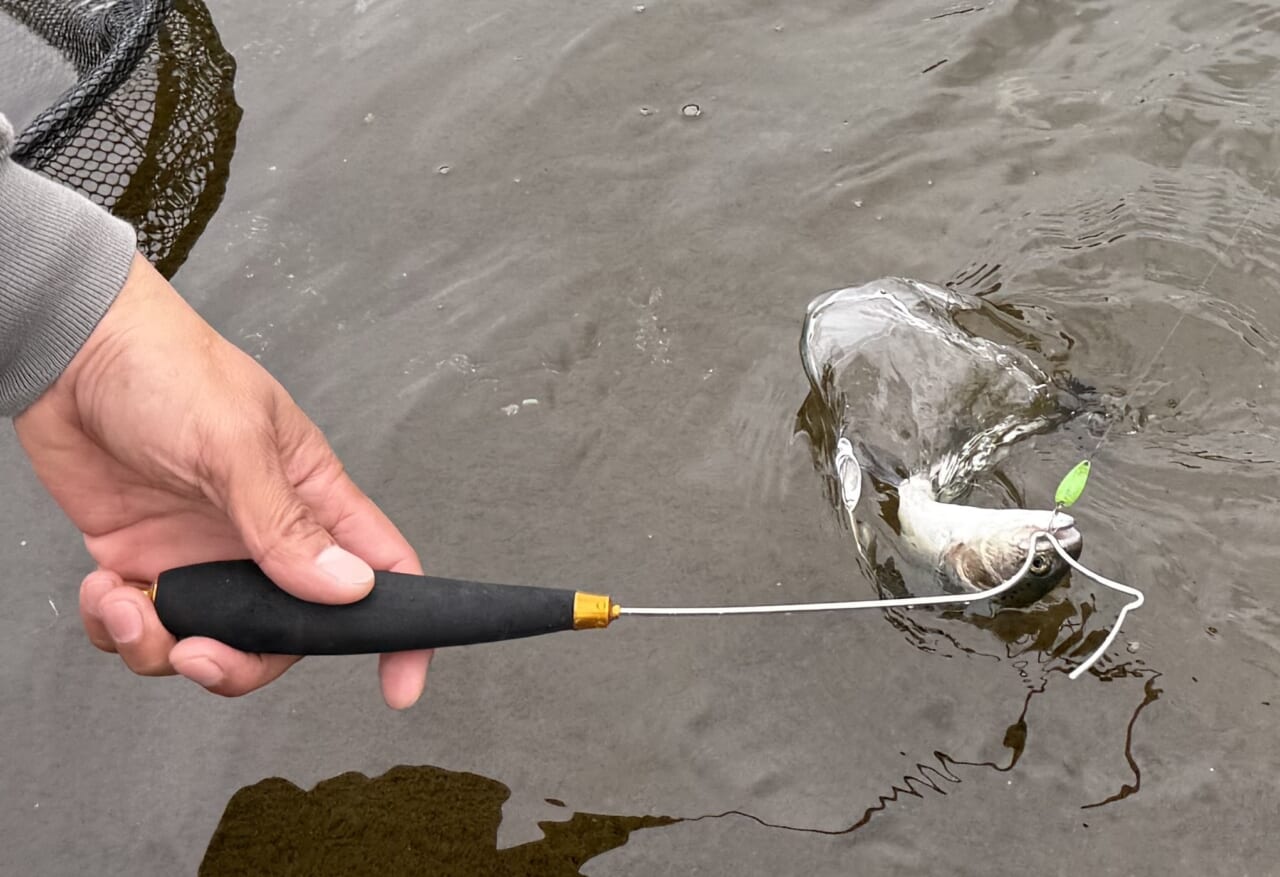 |【エリアトラウト】スプーンの達人が魅せる攻略のための思考術とは?