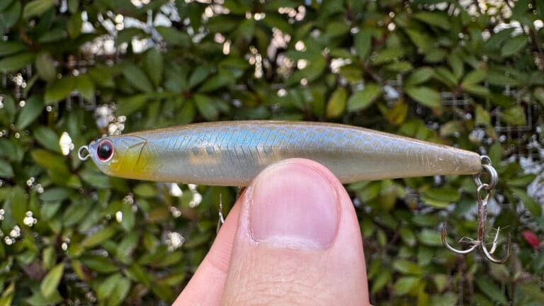 「とんでもない事態に…」「人生最初で最後かも」3月某日、“このルアー”がヤバかった…。