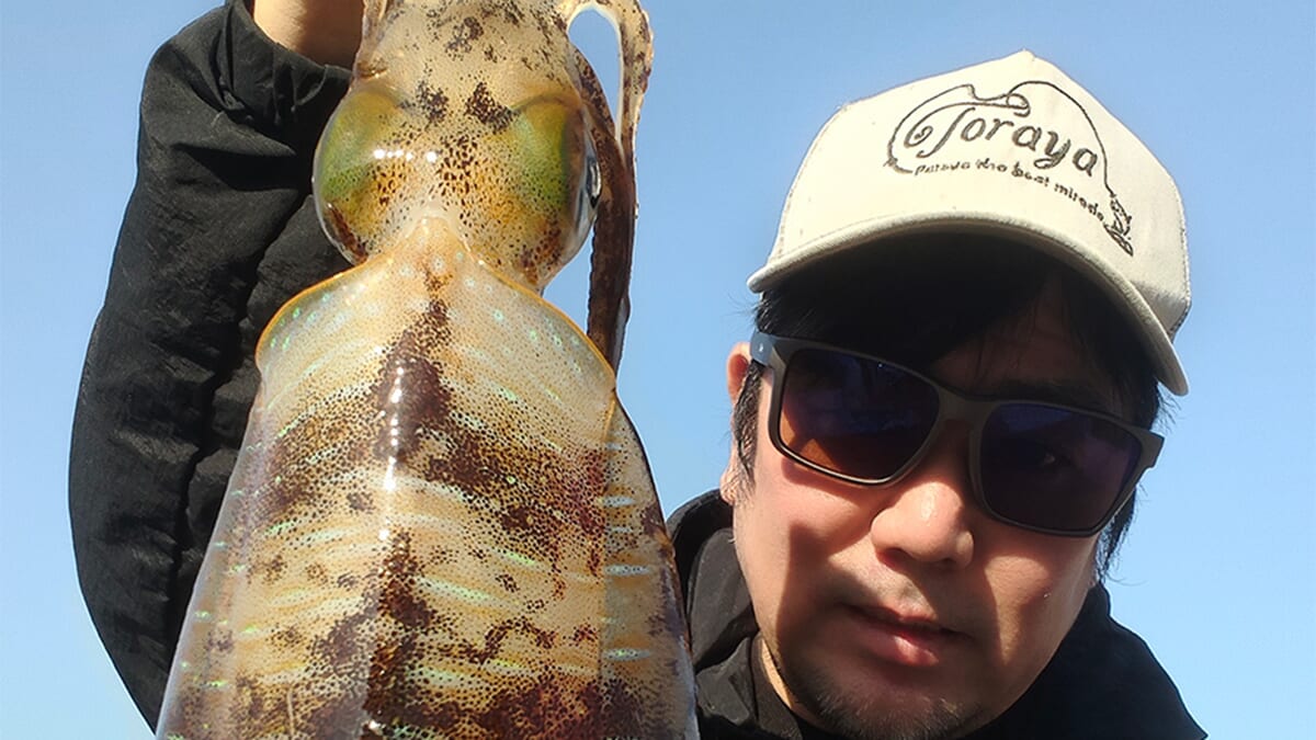 |「売り切れてたらごめんなさい」エギングにオススメする新メーカーの偏光グラスとは?