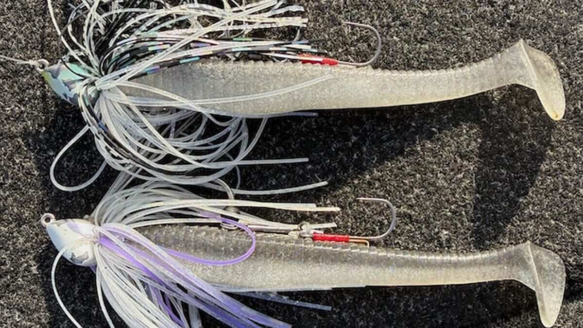 ｜フナを食っているヤツはでかい。ビッグママを釣りたければこれを投げろ！重さとフックの選択が重要！【大西健太のOKレポート】