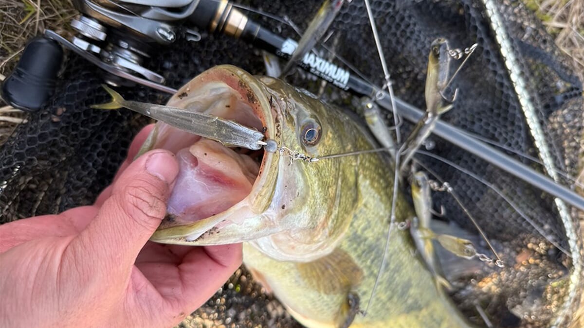 ｜狙い通りの一撃。大興奮のドルフィンバイトをぜひ！ バマストを使いやすくするワンポイントチューンとは？