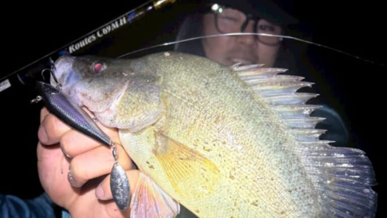 「この魚はオーストラリアにしかいないヤツ！」総距離4200キロを渡る18日間のロードトリップを振り返る。