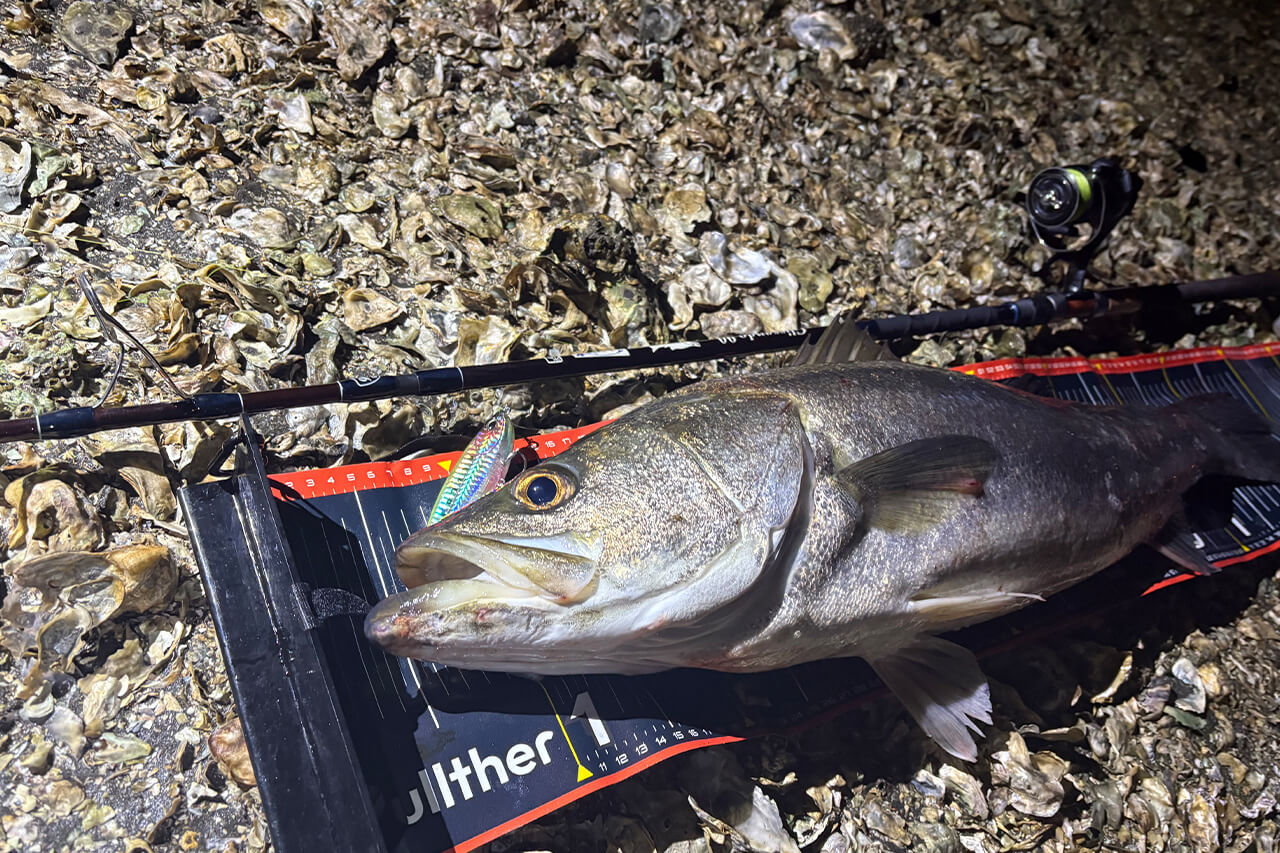 ｜「こんなにメリットがあるって知ってた？」僕がシーバスでレバーブレーキリールを使う理由。