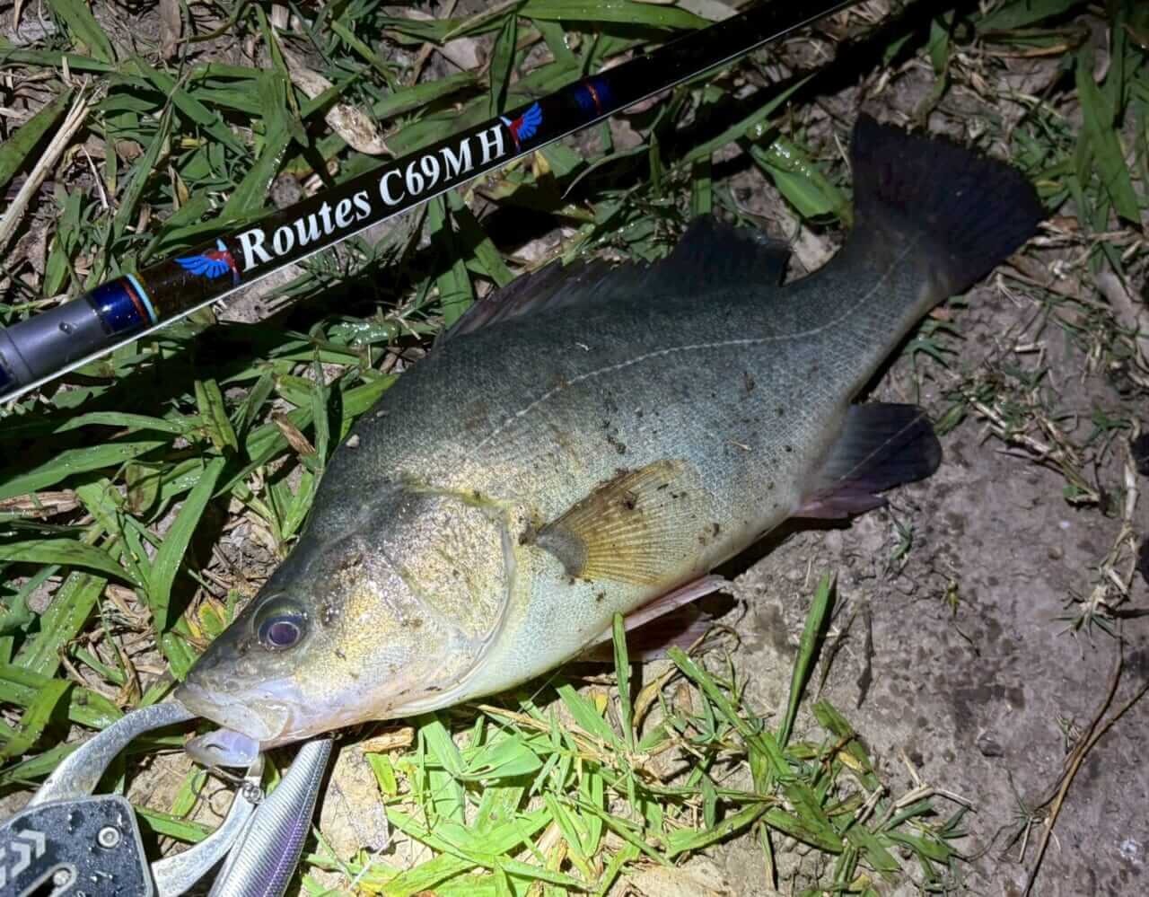 ｜「この魚はオーストラリアにしかいないヤツ！」総距離4200キロを渡る18日間のロードトリップを振り返る。