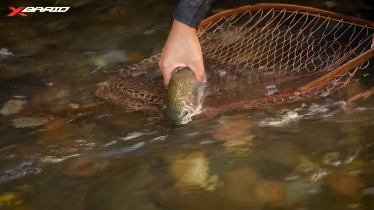 ｜渓流のトラウトを「ベイトタックル」で狙う！セミ型トップとシンキングミノーに活きるライン選びとは？