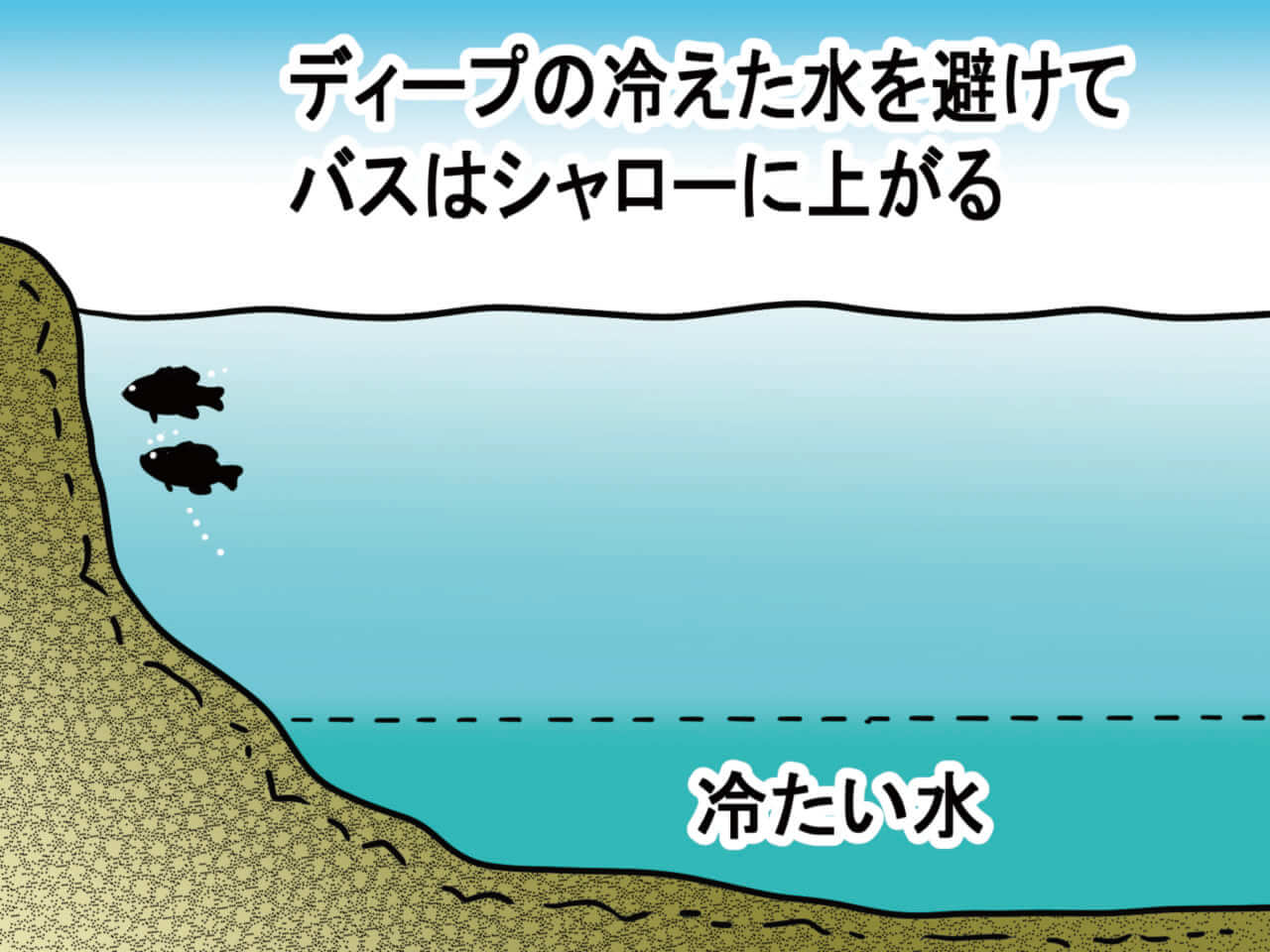 ｜オカッパリだから釣れる「でかバス」は確実に存在する! 「真冬に浅場を狙うetc…」岸釣り最新理論