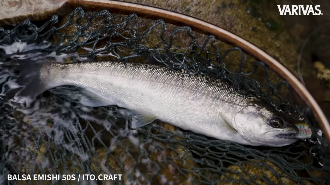 ｜警戒した渓流の女王を篭絡する秘密は『ラインシステム』にあり！素材やカラーにこだわれば美しい魚との距離もきっと近づける!!