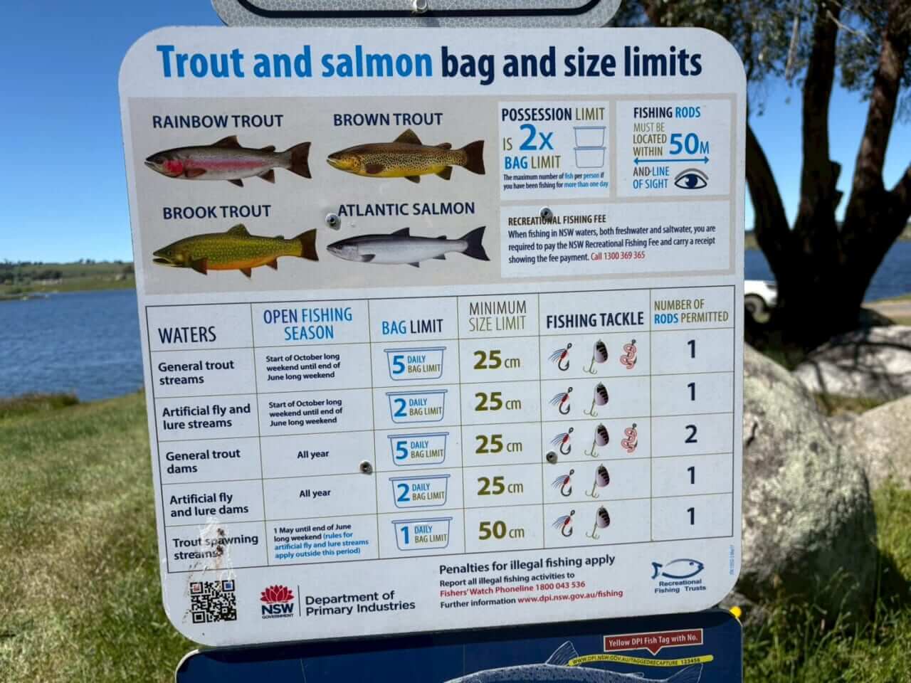 ｜「この魚はオーストラリアにしかいないヤツ！」総距離4200キロを渡る18日間のロードトリップを振り返る。