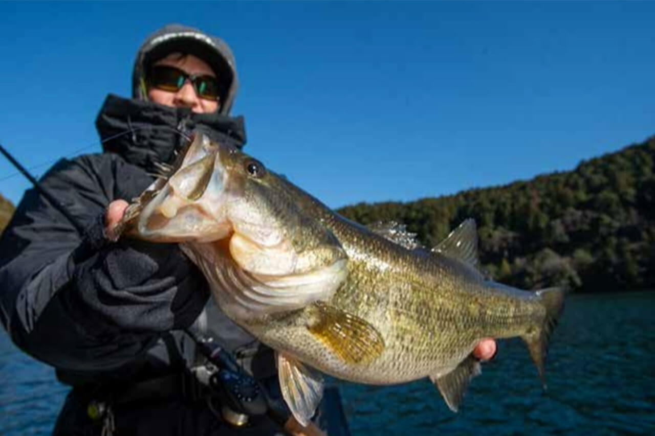 ｜【買うべきルアー2026】ルアマガ５月号絶賛発売中！<俺の一軍ルアー>