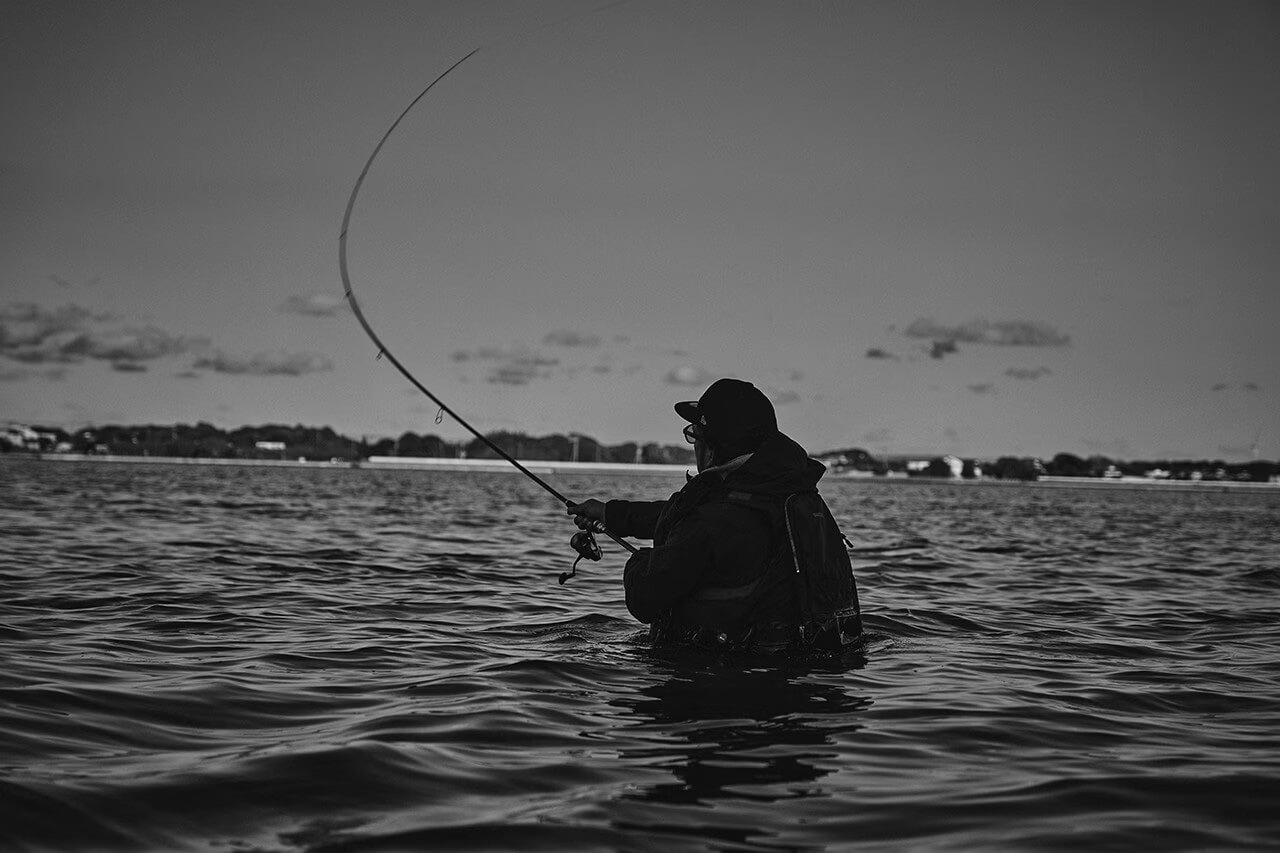 |『東レテクノロジー』を搭載した最新シーバスロッドを編集部がピックアップ。現代の最先端技術により実現したフラッグシップモデルたち。