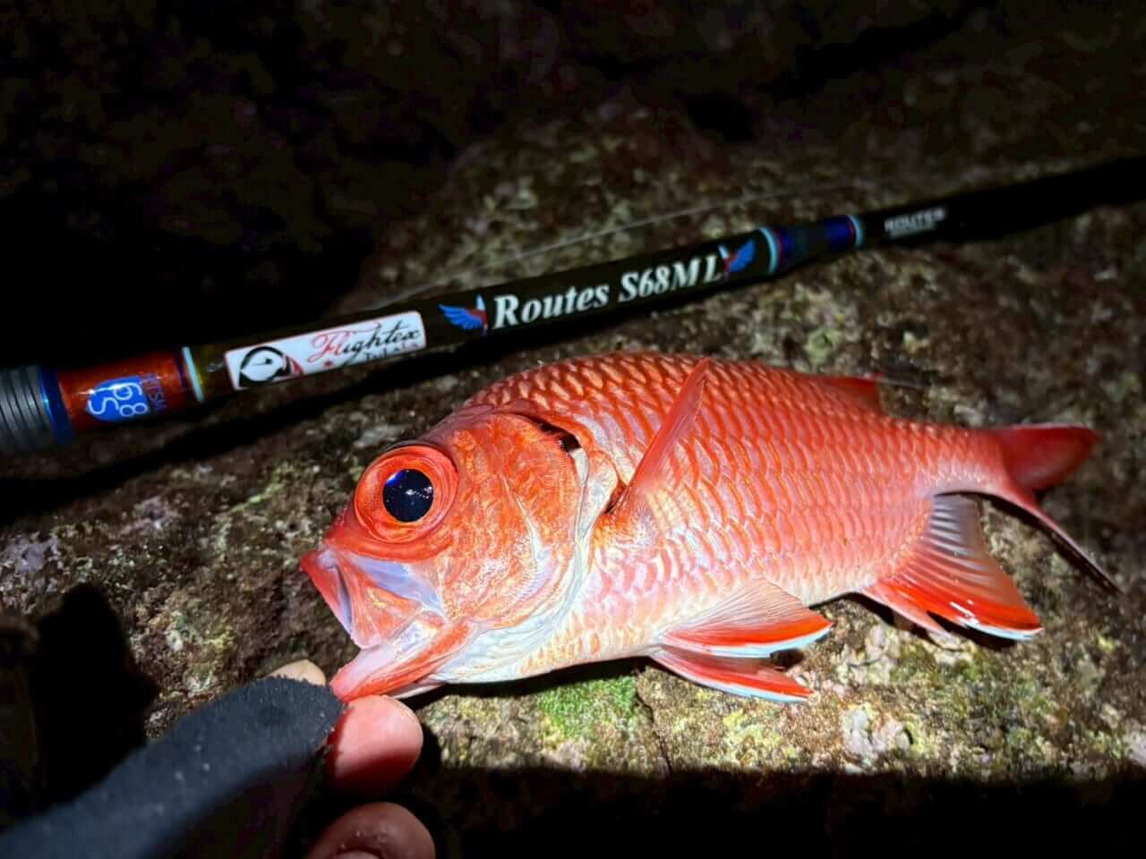 |TULALAのNEWパックロッド2本を「釣り比べ」。見えてきた“違い”と“使い分け”を徹底解説。