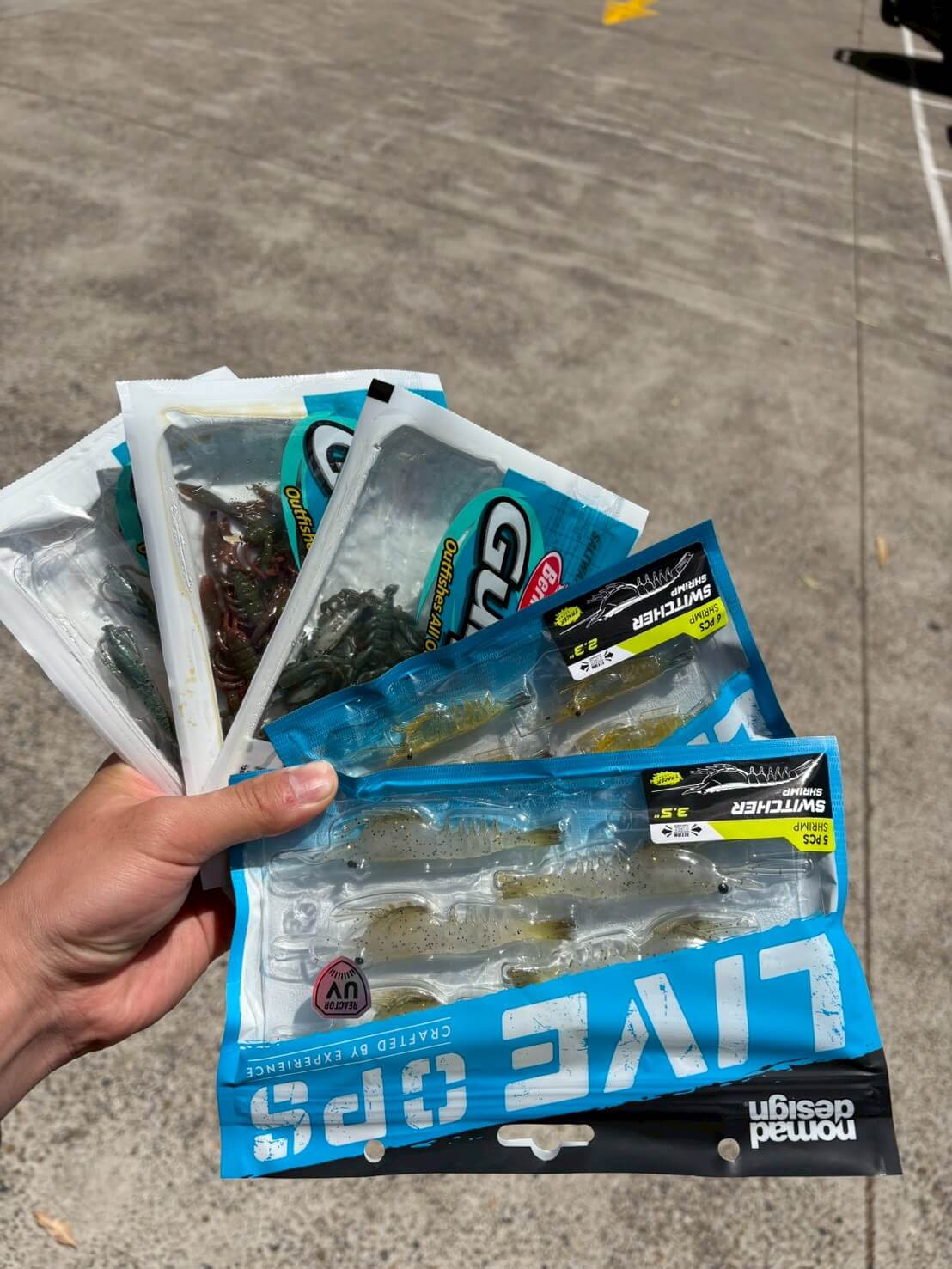 ｜「この魚はオーストラリアにしかいないヤツ！」総距離4200キロを渡る18日間のロードトリップを振り返る。