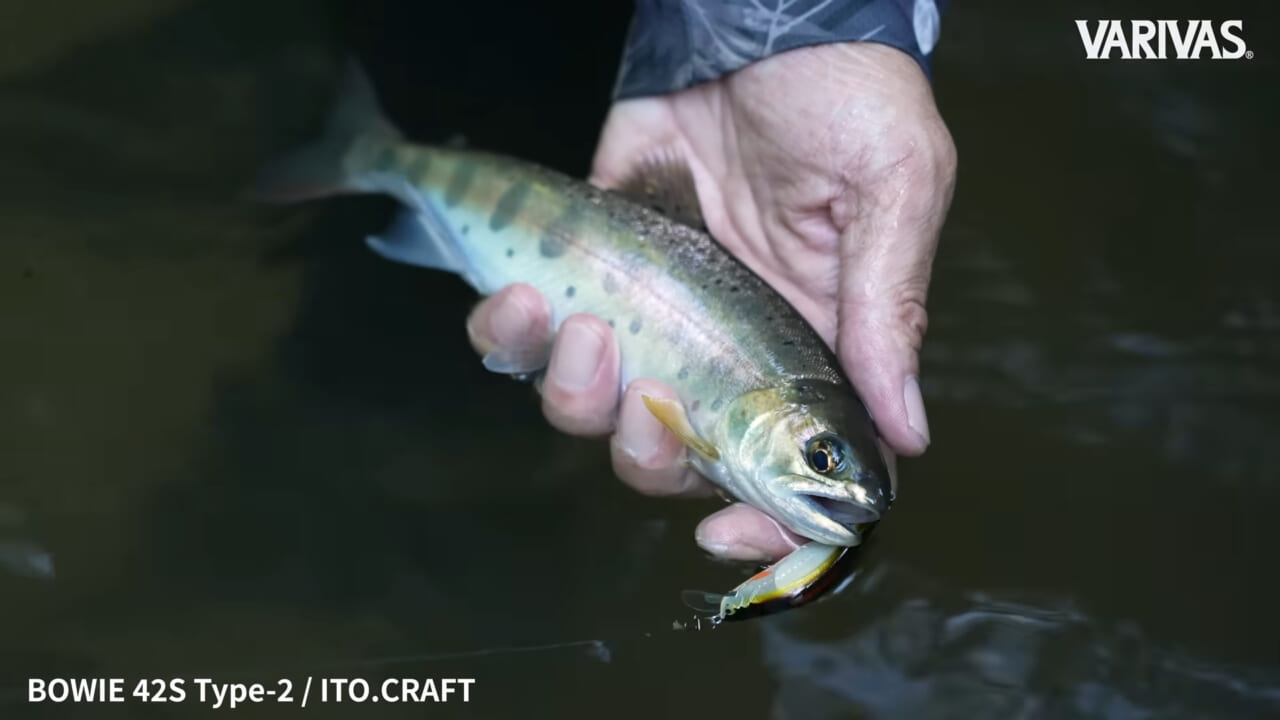 ｜警戒した渓流の女王を篭絡する秘密は『ラインシステム』にあり！素材やカラーにこだわれば美しい魚との距離もきっと近づける!!
