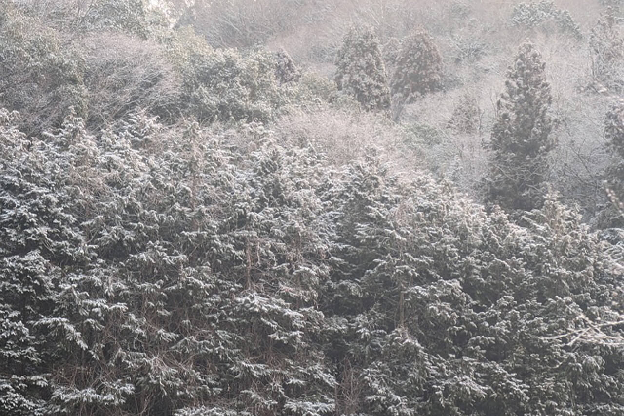 |陸王決勝に向けてトレーニング!4つのフィールドを釣り歩く。この時期もやっぱりスクーパーフロッグ!【川村光大郎のOPENMIND】