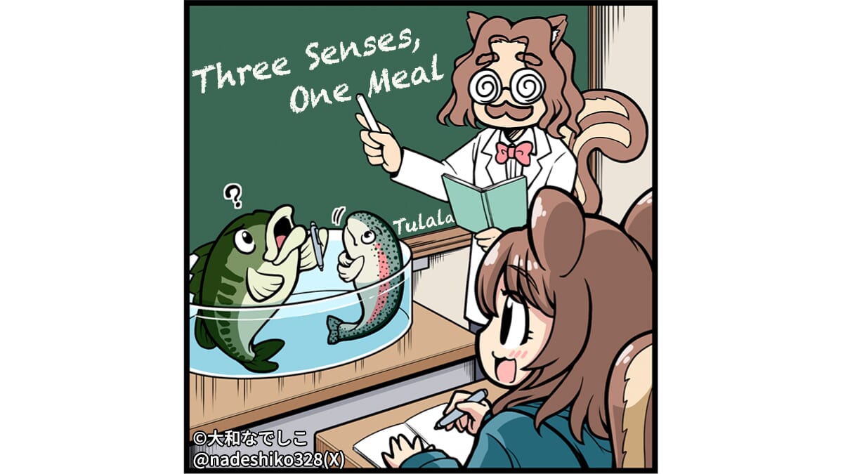 ｜【TULALAじゃない話】オガケン大学・第1章『サカナのゴハンの探しかた』～第1回～“魚って、どうやってエサを見つけるの？”