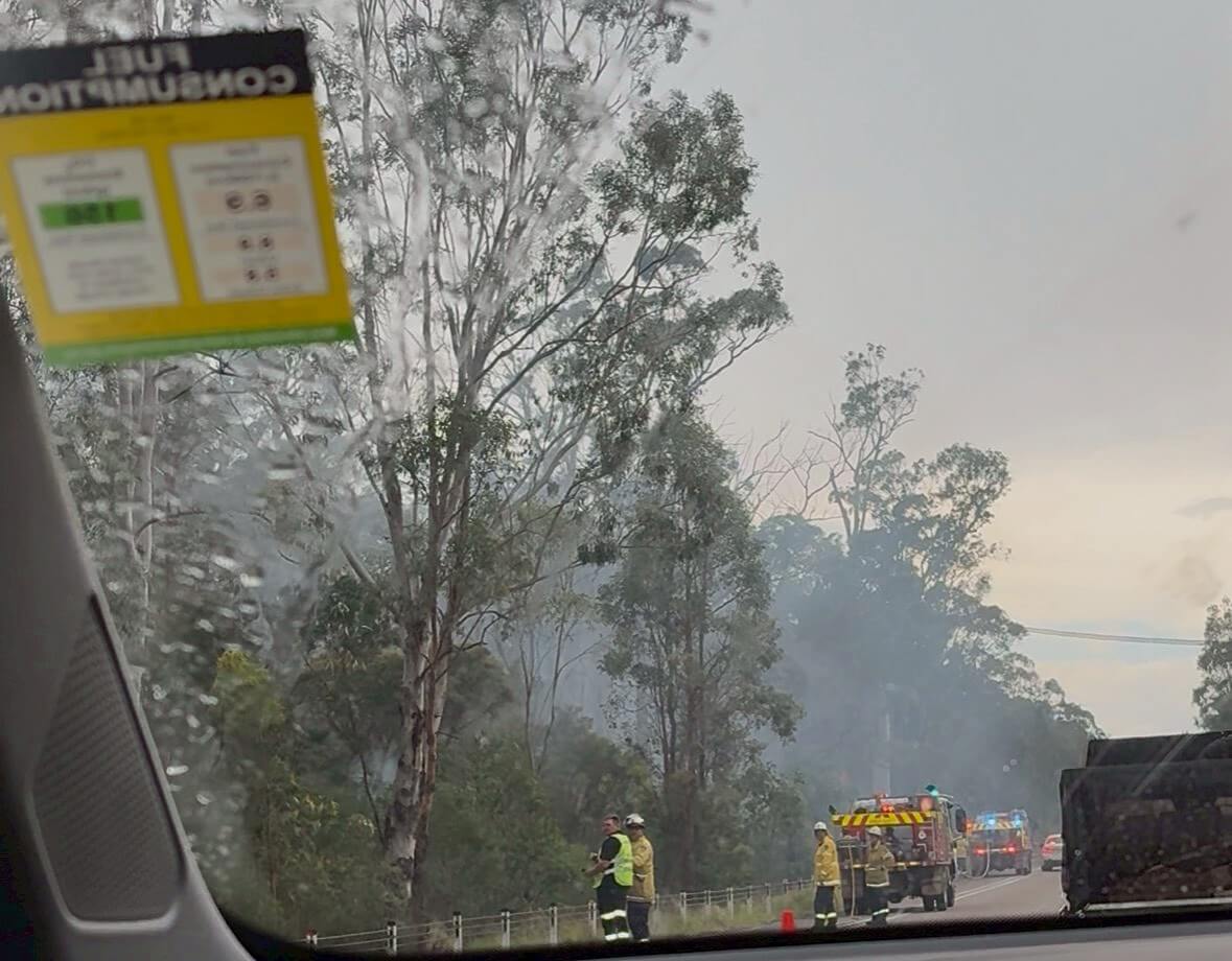 ｜「この魚はオーストラリアにしかいないヤツ！」総距離4200キロを渡る18日間のロードトリップを振り返る。