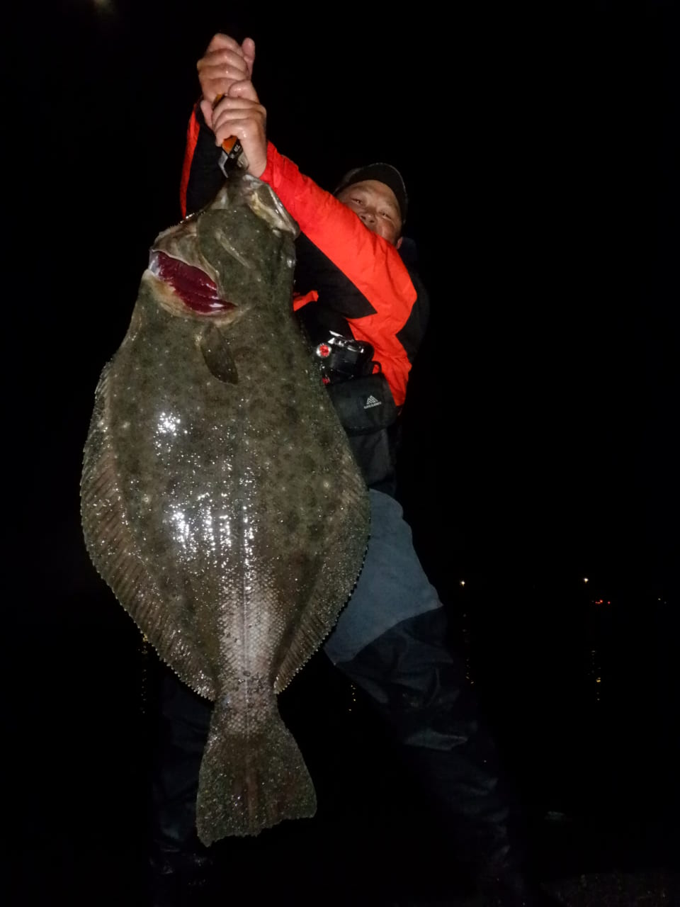 ｜【なんで釣れるの⁉】ライトゲームタックルで驚きの巨大魚⁉ 秘密はタックルセレクトとドラグ設定にあった!! ソフトボディ+ブレードの気になる新作ルアーも【今日もいいチョーシ】