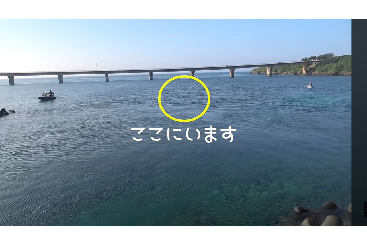｜「ヤバい！ヤバい！」「無理だ、進まない」離岸流の恐ろしさを体験。流されたときの脱出方法と対策とは。「海上保安庁から呼び出されました」