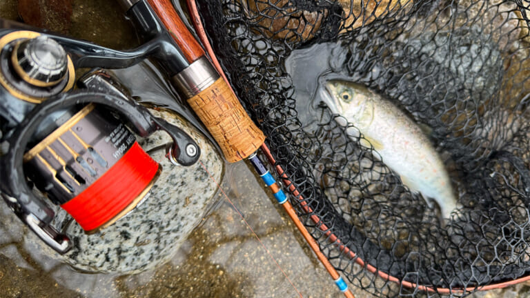 「渓流ならでは」近場で狙う渓流魚のすゝめ。解禁直後に行ってきました。