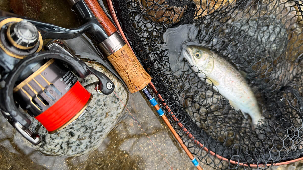 ｜「渓流ならでは」近場で狙う渓流魚のすゝめ。解禁直後に行ってきました。