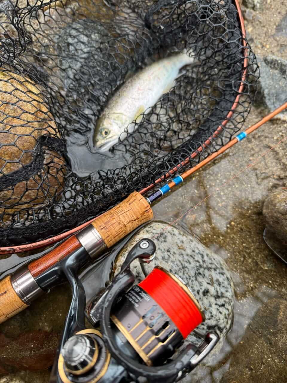 ｜「渓流ならでは」近場で狙う渓流魚のすゝめ。解禁直後に行ってきました。