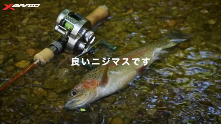 渓流のトラウトを「ベイトタックル」で狙う！セミ型トップとシンキングミノーに活きるライン選びとは？