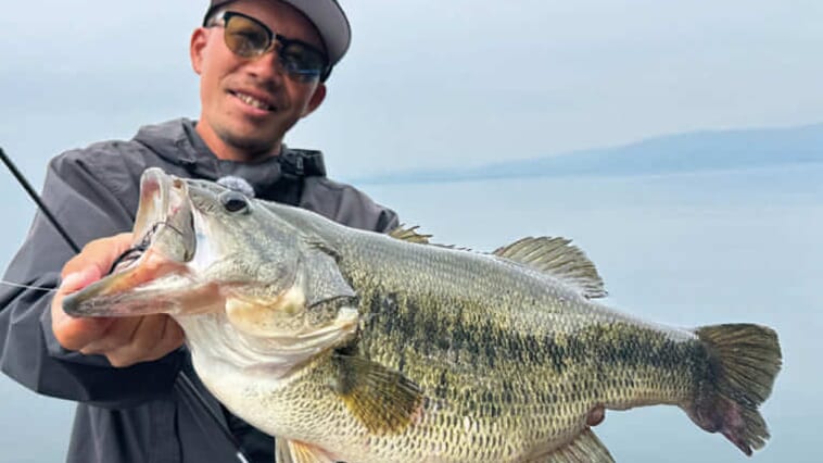 【思い出が走馬灯のように】メジャークラフトの名作ロッド「デイズ」の進化と発展【グルグル脳裏を走り出す】