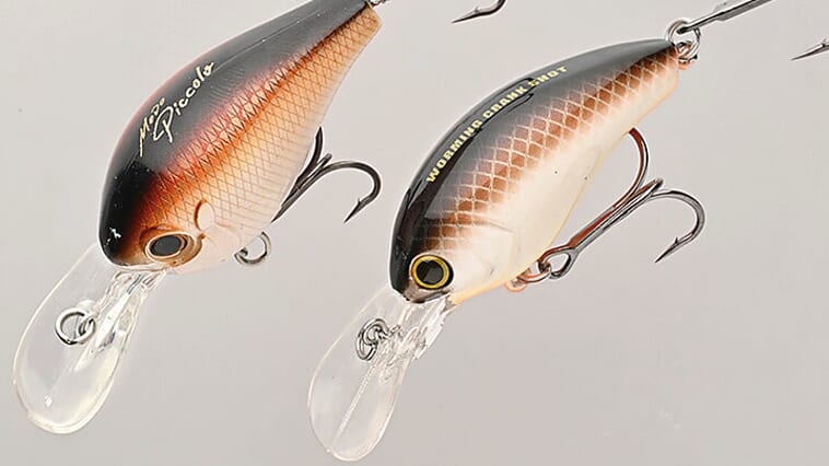 【二人の出会い、ルアー開発のジレンマ…】ルアーの収斂進化⁉ 田辺哲男と清水盛三がたどり着いた最近のイチオシ