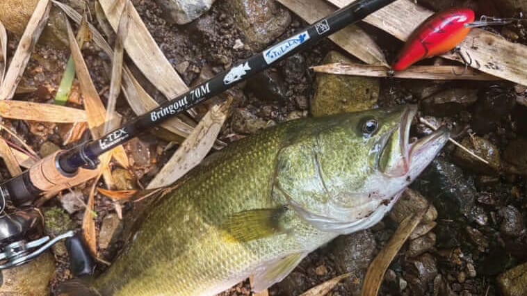 ティップ波うちクランク踊る摩訶不思議ロッド