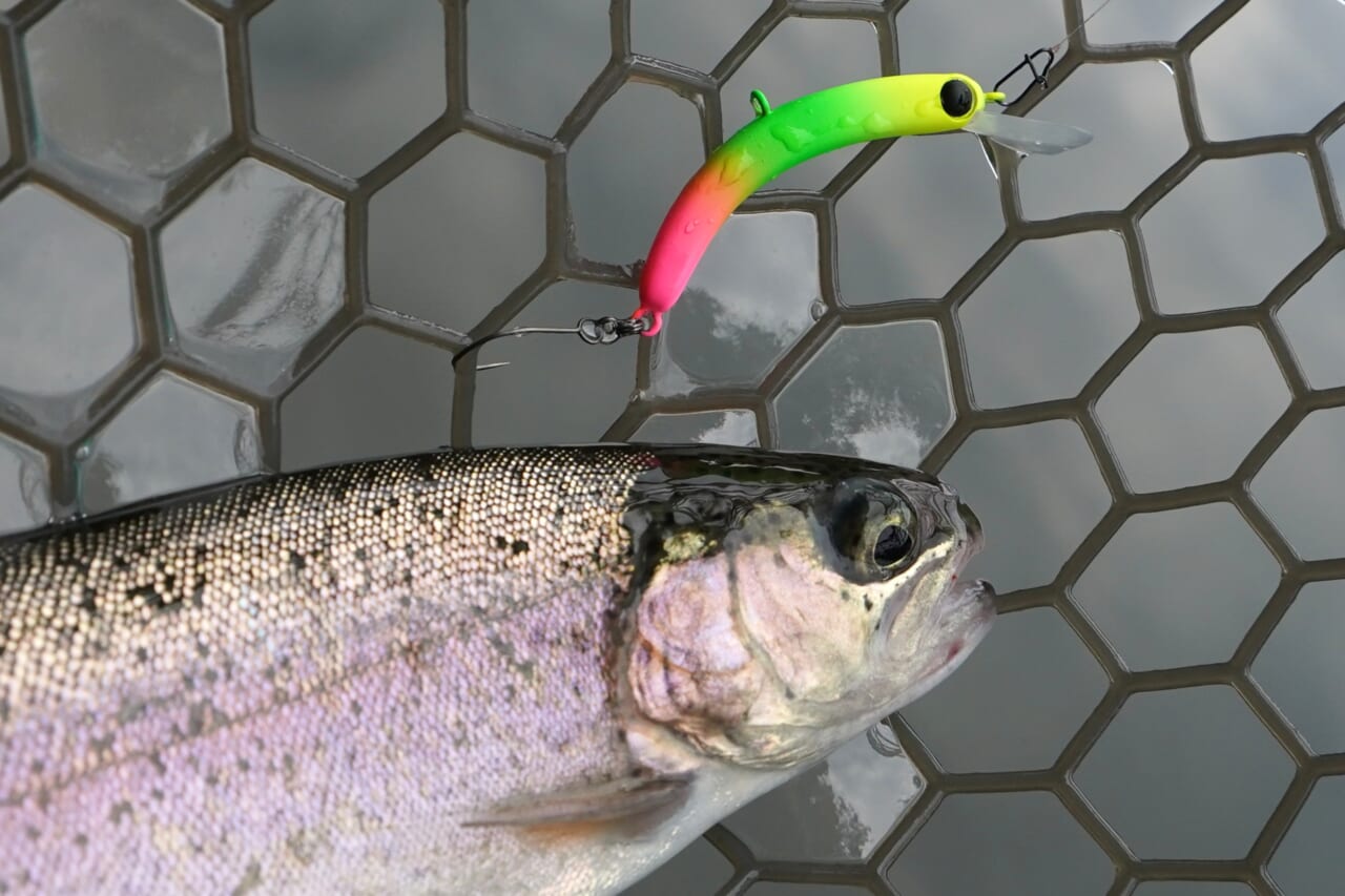 ｜【さかにょろ軍団が教える】 さかさにょろ“活性別”使い分けメソッド