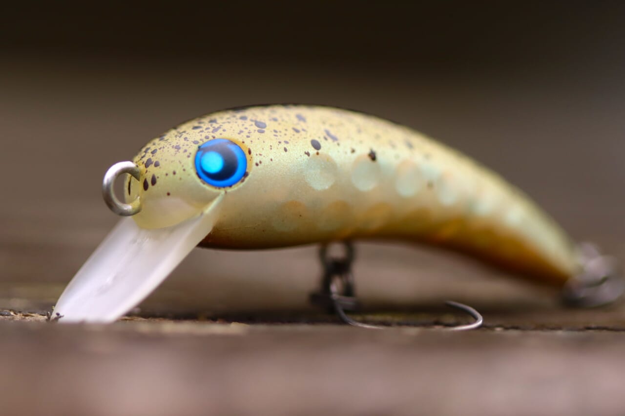 ｜【エリアトラウト】技術ではなく「知識」を武器にする！ 松本幸雄が教えるピンチのときの状況突破ルアーローテ術。