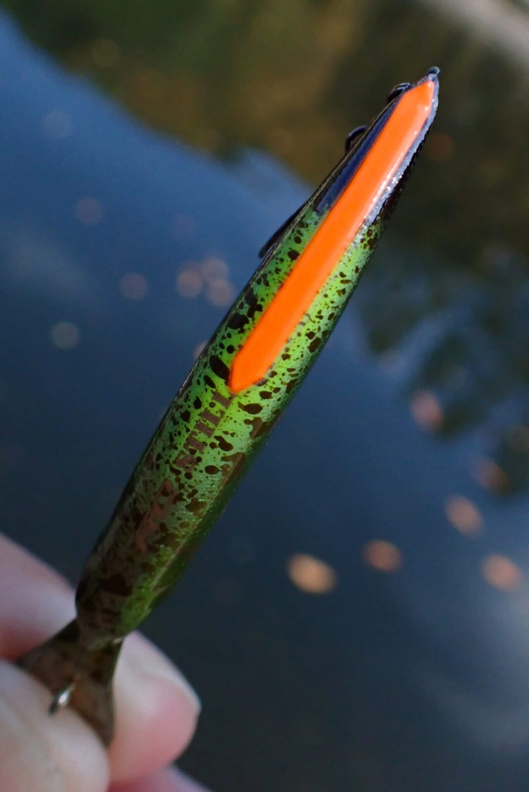 |【エリアトラウト】浮上系ミノー&浮遊系マイクロクランク最前線