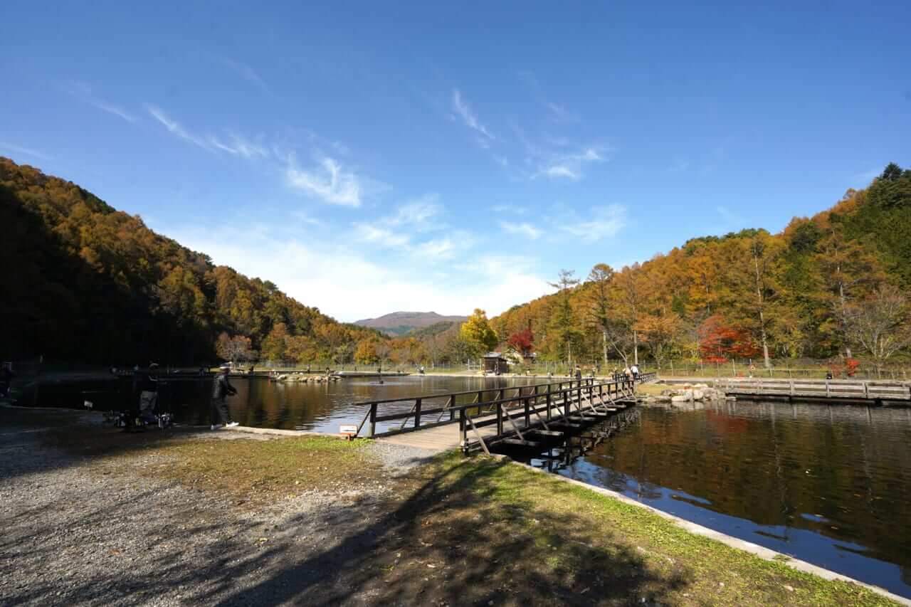 |【エリアトラウト】浮上系ミノー&浮遊系マイクロクランク最前線