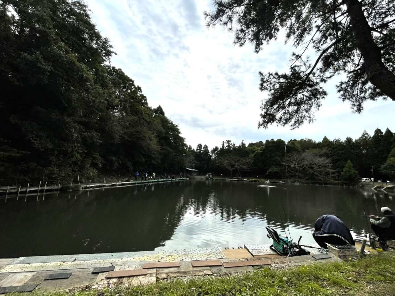 ｜【さかにょろ軍団が教える】 さかさにょろ“活性別”使い分けメソッド