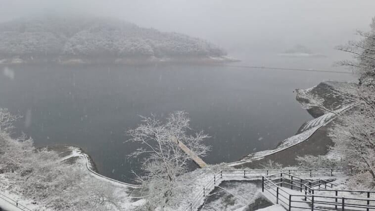 雪が降ると魚が良く釣れる…は本当か？プロによる見解は…？