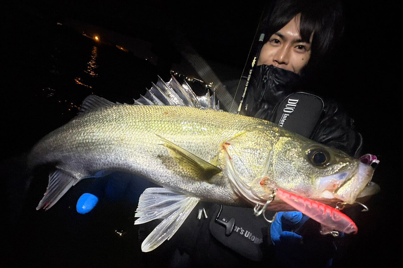 ｜【ハクパターン】難攻不落っていうけど大げさすぎるんじゃない？まだ苦手意識持ってる人いるならシンプルに考えてみよう