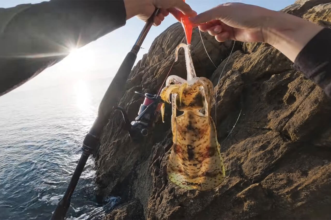 ｜「コレ、デカいぞ…」港近くの『無人島』に泊まり込んで“モンスター”を狙った結果。贅沢過ぎる状況に視聴者も驚愕。