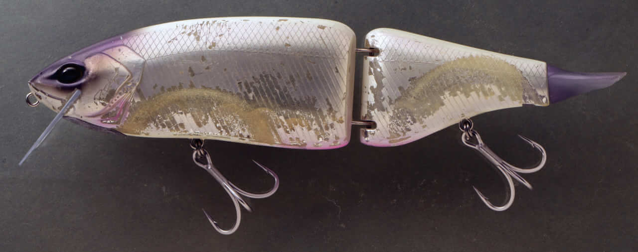 ｜琵琶湖の覇王だけなぜ釣れる⁉ たどり着いた「ミドスト」の極致とクラッシュ9