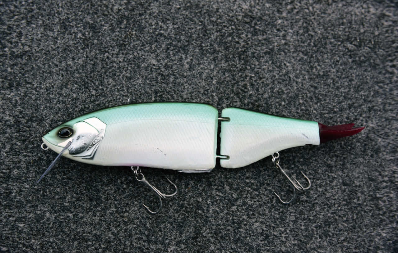 ｜早春の琵琶湖をストロングに攻略するためのQ&A「釣れない人の特徴は…」