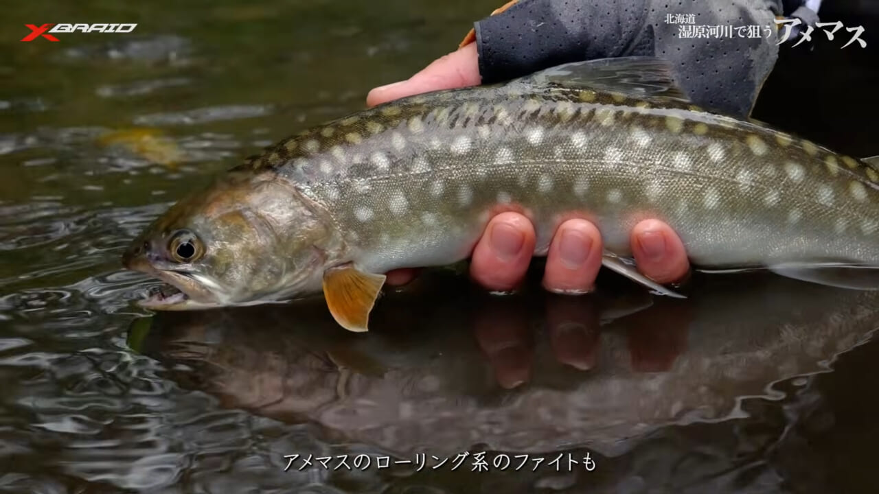 ｜「PEライン×ベイトリール」システムの最新系！ネイティブトラウト相手で成立させるためのセッティングとは…？