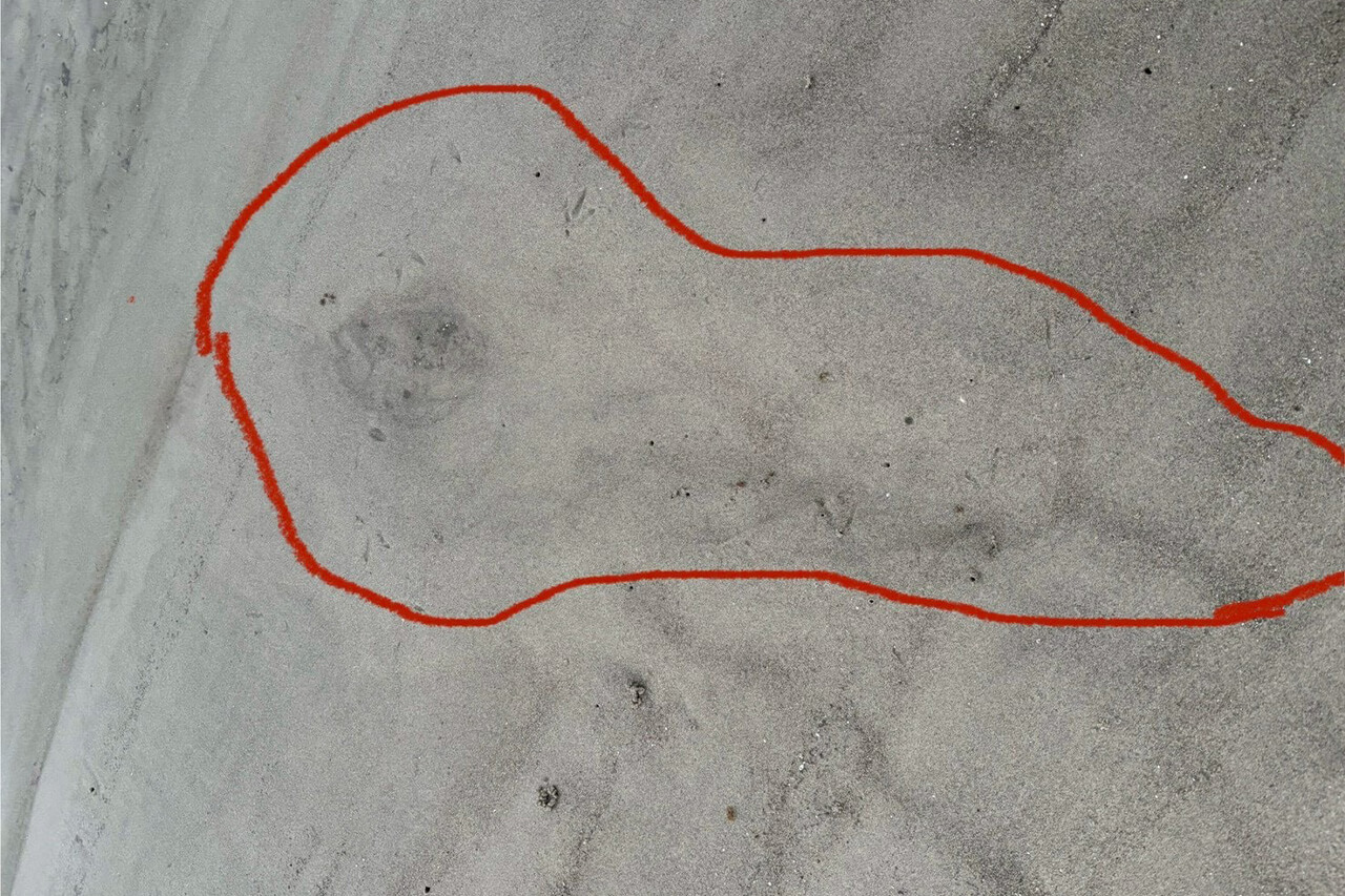 ｜オーストラリアは魚も規格外!? 日本では考えられない“1メーター超えマゴチ”を狙ってみた結果。